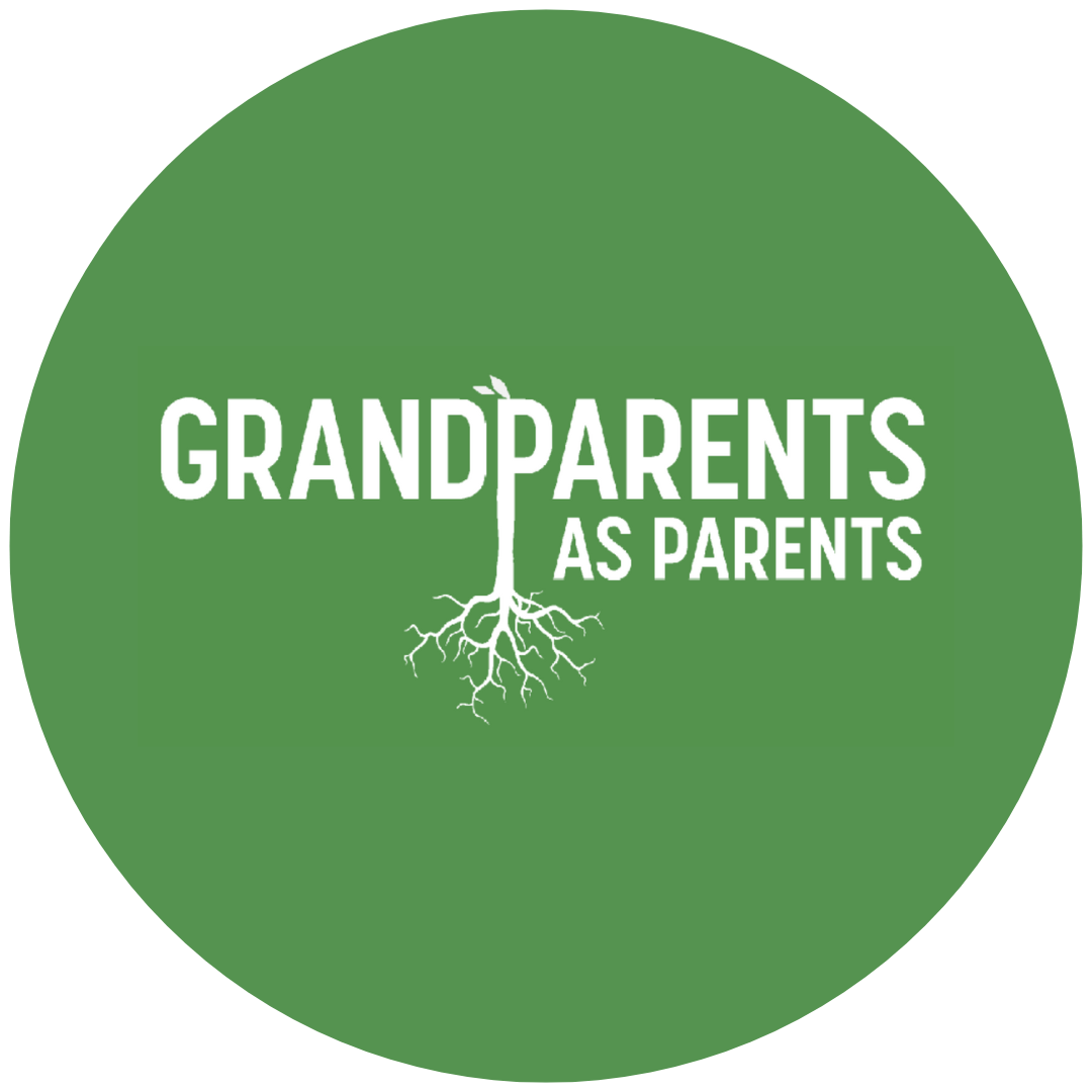 Parenting the Second Time Around Conference 2026 - logo